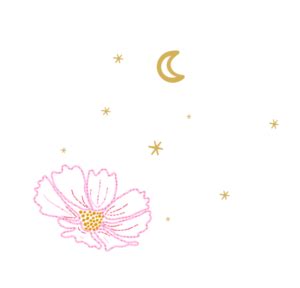 lucky cosmos photos|Cosmos (group) .
